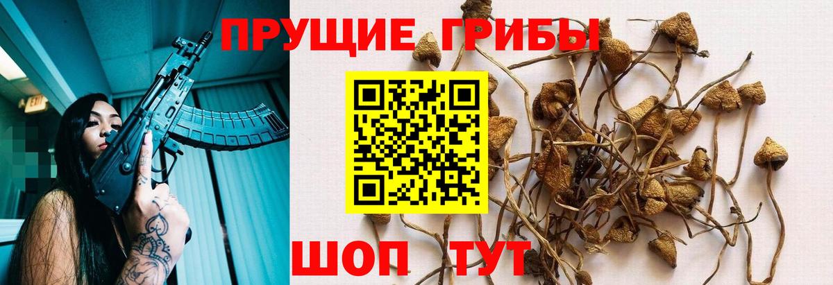 Псилоцибиновые грибы MAGIC MUSHROOMS  Галлюциногенные грибы Cubensis  Вход с VPN  Орехово-Зуево 